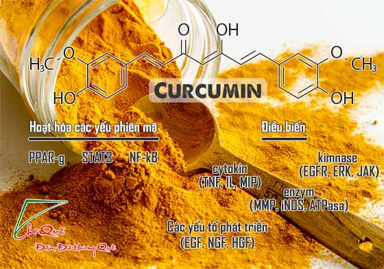 Tinh bột nghệ và chất curcumin chữa trị ung thư